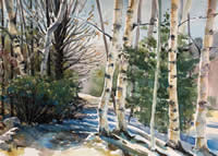 Winter Birches by Diane Dubreuil